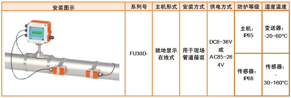 FU30D-就地在線式